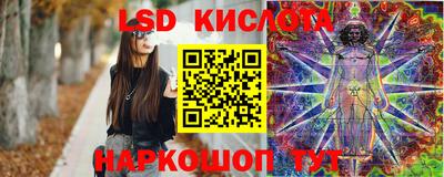 PSILOCYBIN Можга
