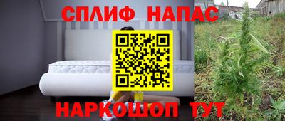 PSILOCYBIN Можга