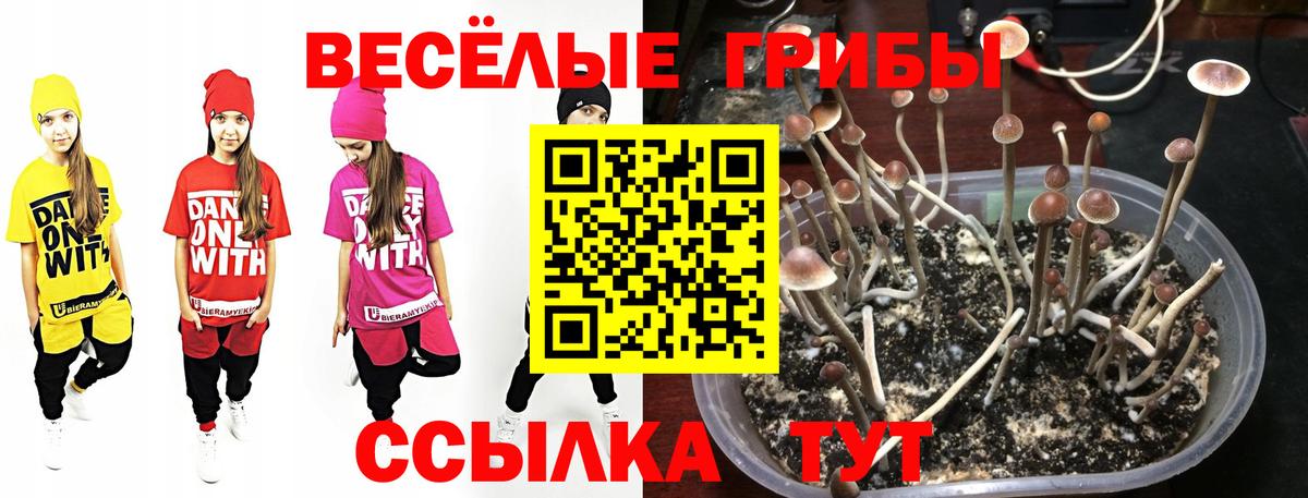 Чита  Галлюциногенные грибы мухоморы  Вход с VPN 